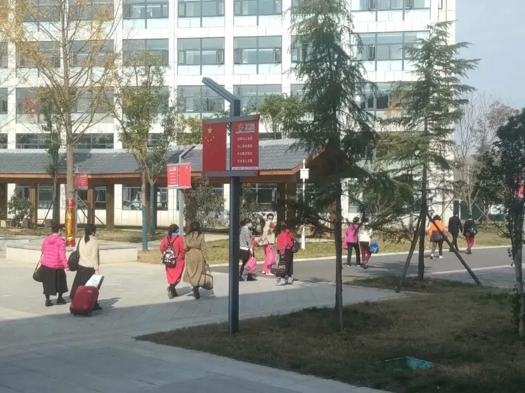 1605251148121970.jpg 1605251148121970.jpg